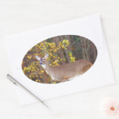 Deer voor de Gele Najaarboom Ovale Sticker (Envelop)