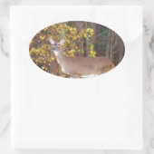 Deer voor de Gele Najaarboom Ovale Sticker (Tas)