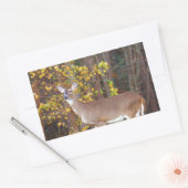 Deer voor de Gele Najaarboom Rechthoekige Sticker (Envelop)
