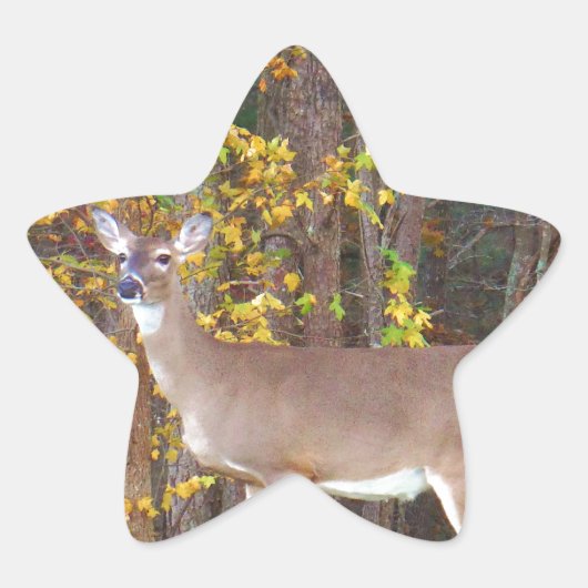 Deer voor de Gele Najaarboom Ster Sticker (Voorkant)