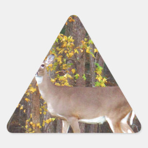 Deer voor de Gele Najaarboom Sticker