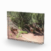 Deer Walking Fotoblokken (Rechts)