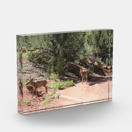 Deer Walking Fotoblokken (Links)