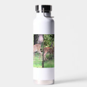 Deer Waterfles (Links)