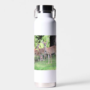 Deer Waterfles
