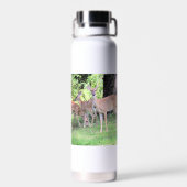 Deer Waterfles (Achterkant)