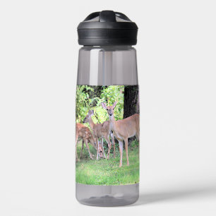 Deer Waterfles