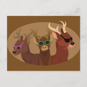 Deer Wearing Sunbril Briefkaart