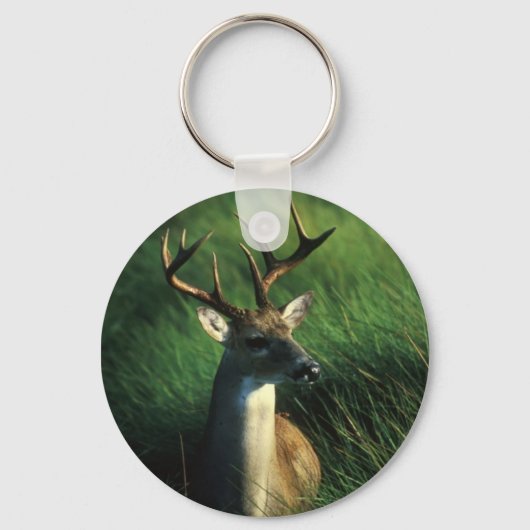 Deer / White Tailed Buck Sleutelhanger (Voorkant)