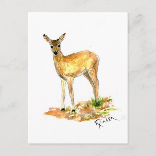 Deer Wildlife briefkaart (Voorkant)