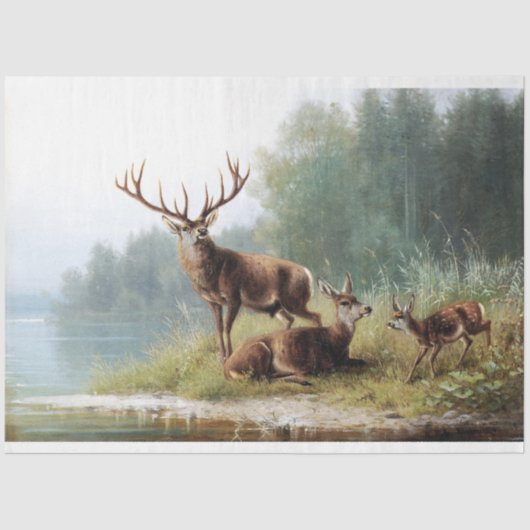  deer-witpapier tissuepapier (Voorkant)