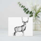 deergif briefkaart (Staand voorkant)