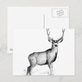 deergif briefkaart (Voorkant / Achterkant)