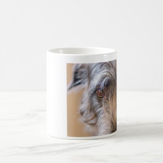 Deerhound Mok (Center)