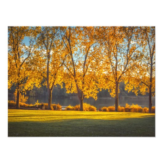 DeerLake in de Herfst Foto Afdruk (Voorkant)