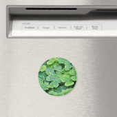 Deerpark Ierland Klaver Dew Drops Magneet (Insitu (Vaatwasser))