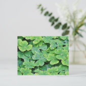Deerpark Ireland Clover Dew Drops Briefkaart (Staand voorkant)