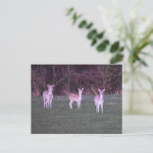 Deers Briefkaart (Staand voorkant)