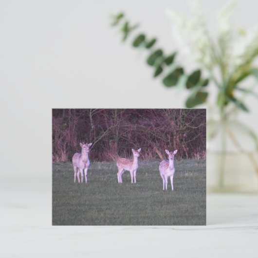 Deers Briefkaart (Staand voorkant)