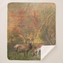 Deers in het herfstbos