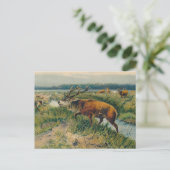 Deers van Dawn's Early Light Briefkaart (Staand voorkant)