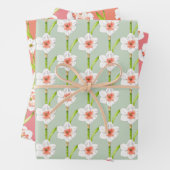 Deffodils op een papierset met overvulling (A) Inpakpapier Vel (In situ)