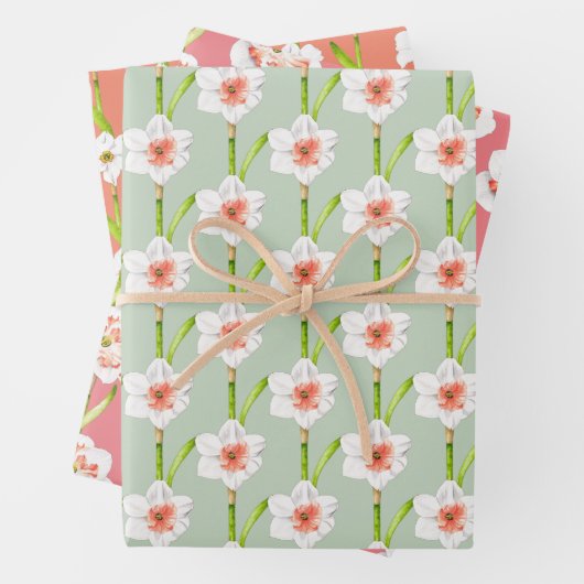 Deffodils op een papierset met overvulling (A) Inpakpapier Vel (In situ)