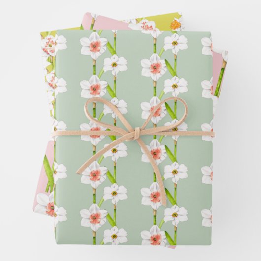 Deffodils op een papierset met overvulling (B) Inpakpapier Vel (In situ)