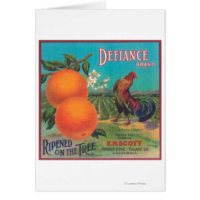 Defiance Oranje LabelVenice-cove, CA (Voorkant)