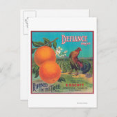 Defiance Oranje LabelVenice-cove, CA Briefkaart (Voorkant / Achterkant)