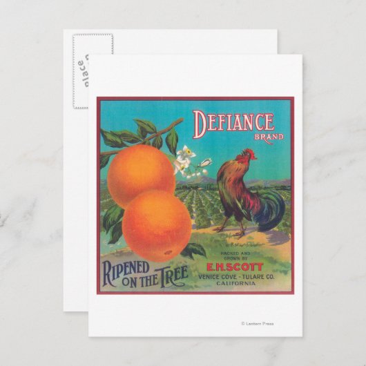 Defiance Oranje LabelVenice-cove, CA Briefkaart (Voorkant / Achterkant)