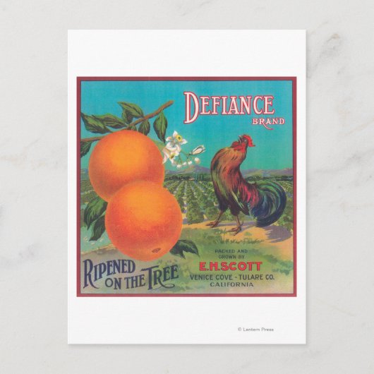 Defiance Oranje LabelVenice-cove, CA Briefkaart (Voorkant)