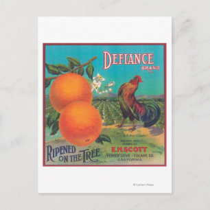 Defiance Oranje LabelVenice-cove, CA Briefkaart