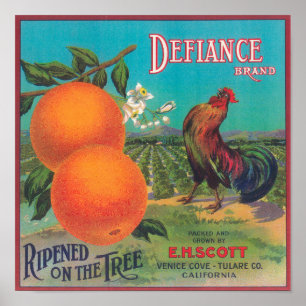 Defiance Oranje LabelVenice-cove, CA Poster