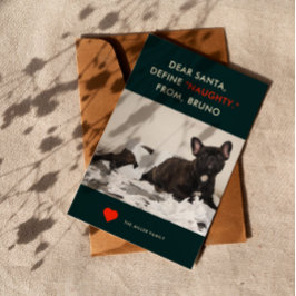 Define Naughty | Foto Cute and Funny Dog Feestdagenkaart