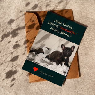 Define Naughty   Foto Cute and Funny Dog Feestdagenkaart