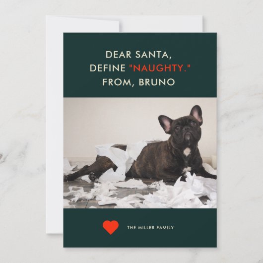 Define Naughty | Foto Cute and Funny Dog Feestdagenkaart (Voorkant)
