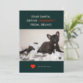 Define Naughty | Foto Cute and Funny Dog Feestdagenkaart (Staand voorkant)