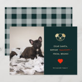 Define Naughty | Funny Dog Photo Holiday Card Feestdagenkaart (Voorkant / Achterkant)