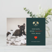 Define Naughty | Funny Dog Photo Holiday Card Feestdagenkaart (Staand voorkant)