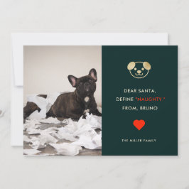 Define Naughty | Funny Dog Photo Holiday Card Feestdagenkaart