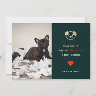 Define Naughty   Funny Dog Photo Holiday Card Feestdagenkaart