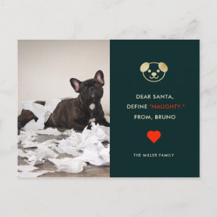 Define Naughty   Uw Funny Dog Photo Holiday Card Feestdagenkaart