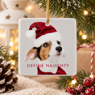 Definieer Naughty Dog Foto Eerste Kerstmis Keramisch Ornament