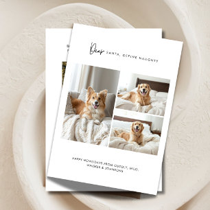 Definieer Naughty Funny 4 Foto Hond Kerstmis Pet Feestdagenkaart