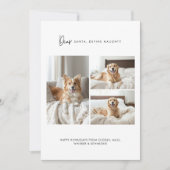 Definieer Naughty Funny 4 Foto Hond Kerstmis Pet Feestdagenkaart (Voorkant)