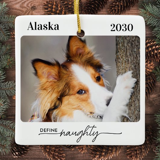 Definieer Naughty gepersonaliseerde grappige hond  Keramisch Ornament