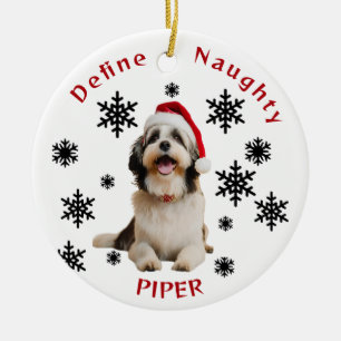 Definieer Naughty Havanese Dog Santa Hat Ornament