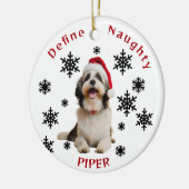 Definieer Naughty Havanese Dog Santa Hat Ornament (Links)