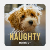 Definieer Naughty Pet Foto Kerstmis Metalen Ornament (Achterkant)